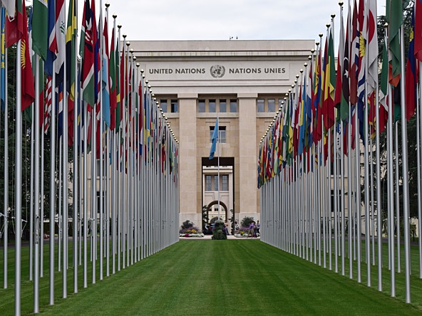 United nations crop